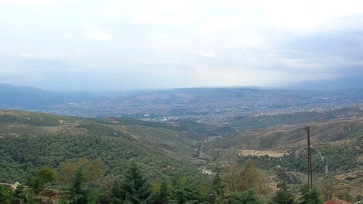 وادي هومر