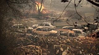 Algérie : le nord-est ravagé par des incendies meurtriers, deuil national décrété