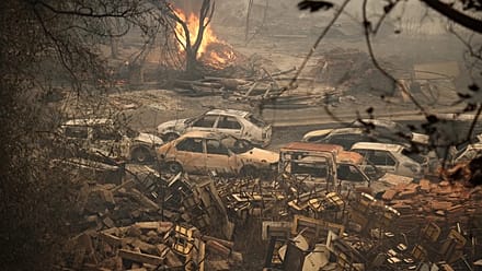Algérie : le nord-est ravagé par des incendies meurtriers, deuil national décrété