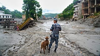 Police are using sniffer dogs in the search for survivors.