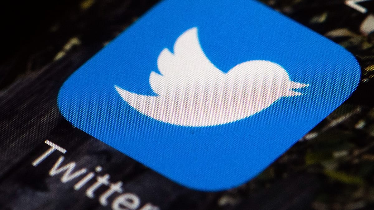 Is Twitter back? Ex-employee fights to revive the blue bird