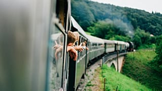 Europe's trains offer discounted fares and family areas. 