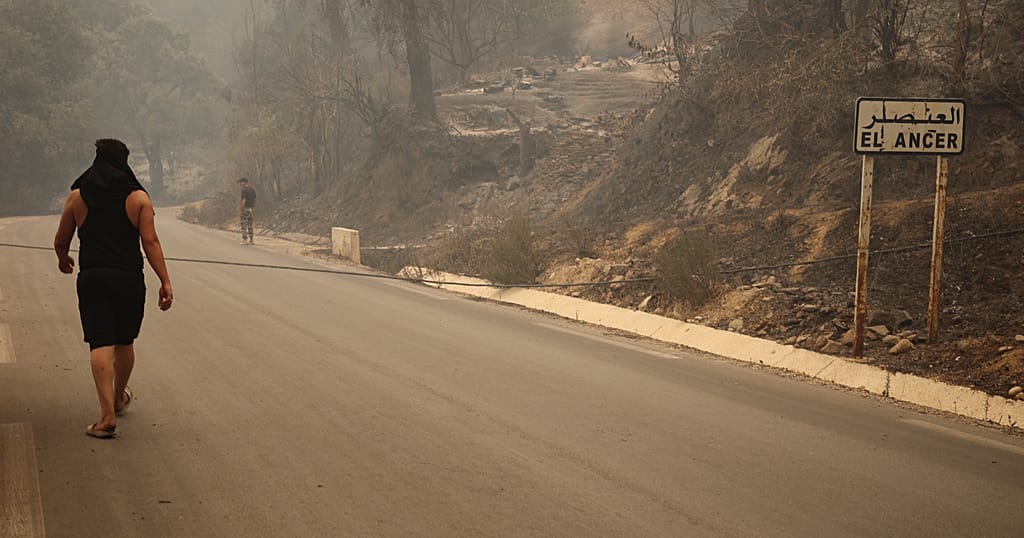 Algeria: Residents of Bordj Tahar Return to Their Village Devastated by Flames