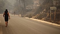 Algérie : les habitants de Bordj Tahar retrouvent leur village dévasté par les flammes
