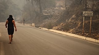 Algérie : les habitants de Bordj Tahar retrouvent leur village dévasté par les flammes