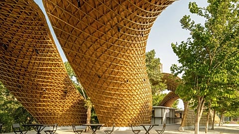 Among lush tree canopies at Ashoka University in Delhi, India, the Hungry Caterpillar shades students dining.