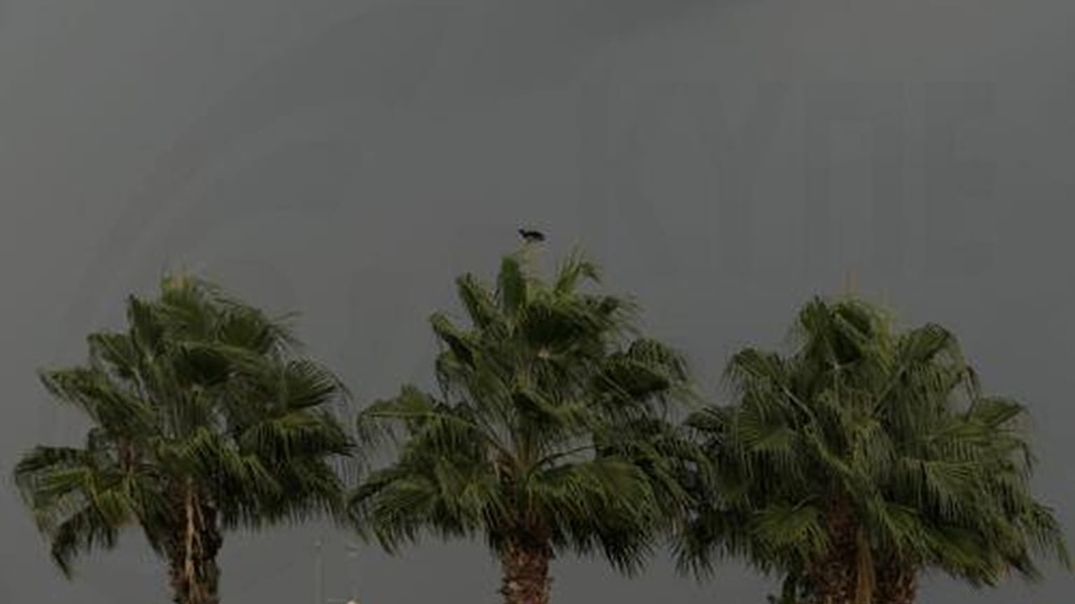 Καλοκαιρινή κακοκαιρία στην Κύπρο