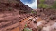 More than 20 people are reported missing after a flash flood hit Grand Canyon’s Phantom Ranch
