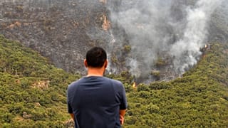 Algérie : la peine de mort envisagée contre les auteurs d’incendies