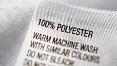 ‘Polyester’: Understanding Gen Z’s new favourite insult (and why it’s a good thing)