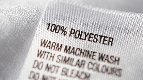 ‘Polyester’: Understanding Gen Z’s new favourite insult (and why it’s a good thing)