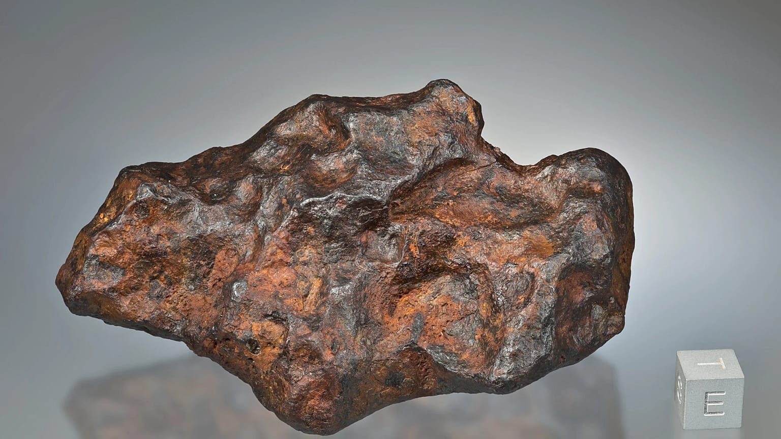 Der Twannberg Meteorit