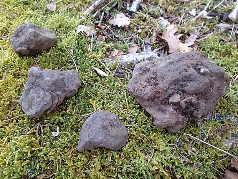 Neue Funde aus dem Jahr 2026: Jahrzehnte nach der ersten Entdeckung werden weiterhin Fragmente des Meteoriten geborgen.