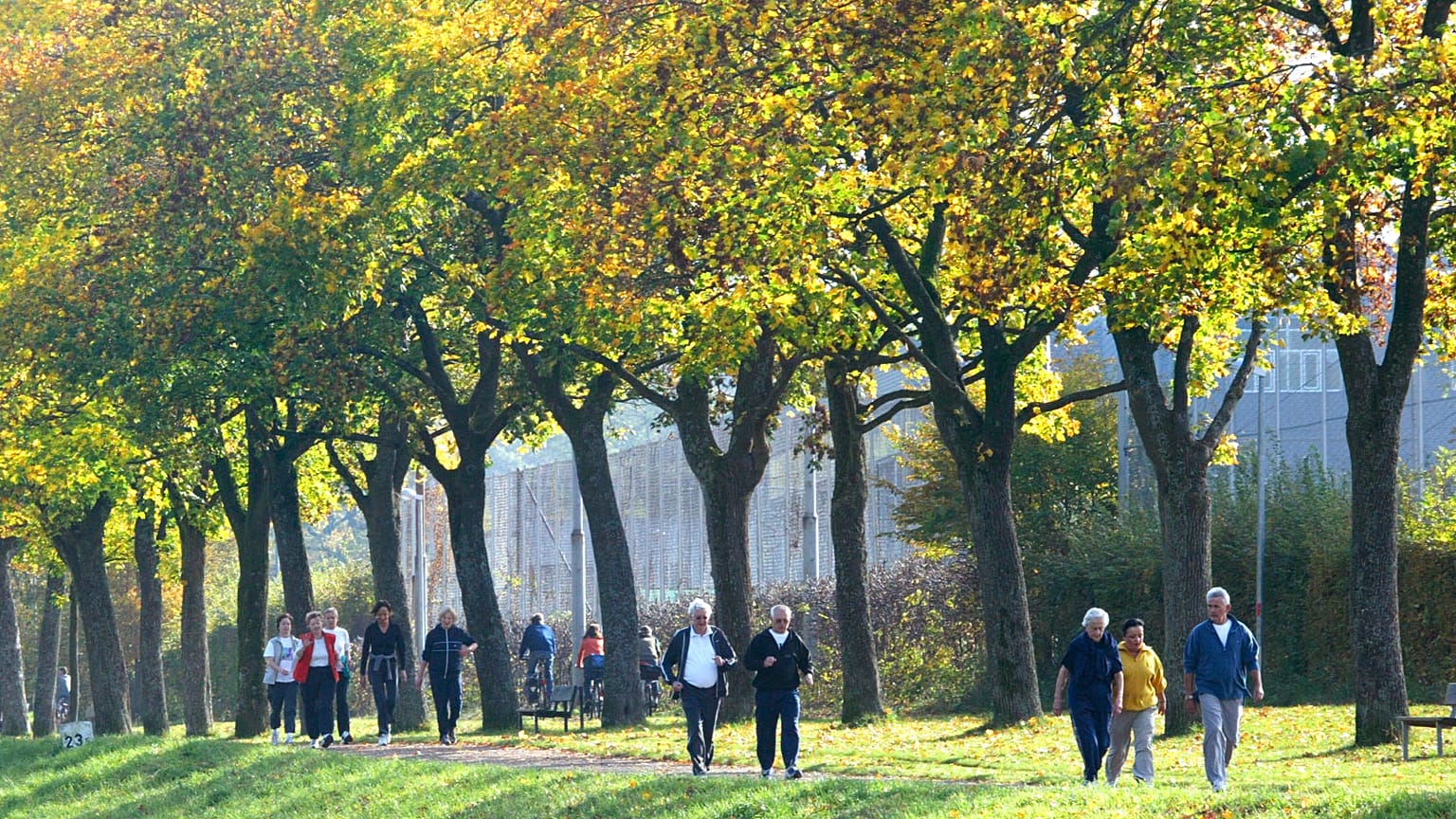 Spaziergaenger und Jogger geniessen in Freiburg den Herbst, Oktober 2004.