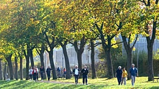 Spaziergaenger und Jogger geniessen in Freiburg den Herbst, Oktober 2004.