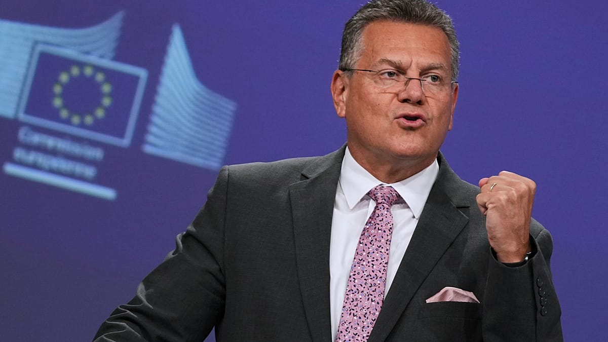 China must deliver concrete results by October or face ‘harsher measures’, EU trade chief tells Euronews