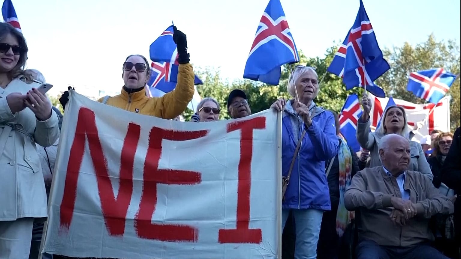 The EU referendum campaign in Iceland