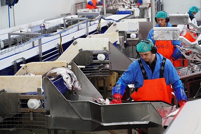 A fish processing plant in Grindavik, Iceland