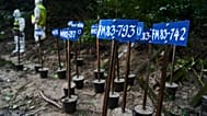 Na ciałach ofiar powodzi widoczne są plakietki z numerami identyfikacyjnymi. Policja przeprowadza zbiorowy pochówek w Katmandu w Nepalu, 1 września 2026 r.