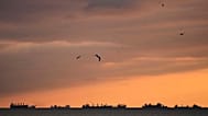 Cargo ships anchored in the Marmara sea near the Bosphorus Strait in Istanbul, 8 April, 2025