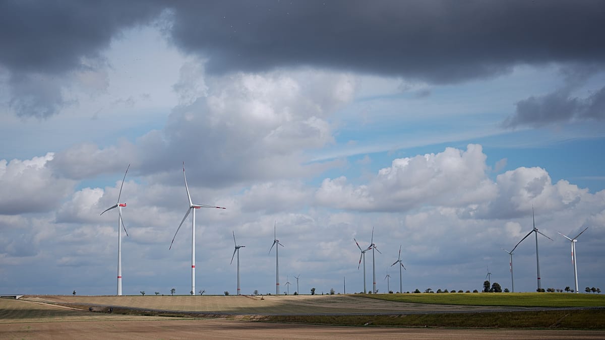 ‘Climate policy must survive, because we want to survive in Europe,’ EU Commission says ‘Climate policy must survive, because we want to survive in Europe,’ EU Commission says
