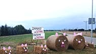 Witacz dożynkowy w gminie Radzyń Podlaski