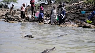 Kenya relocates crocodiles as rising waters bring them into conflict with humans