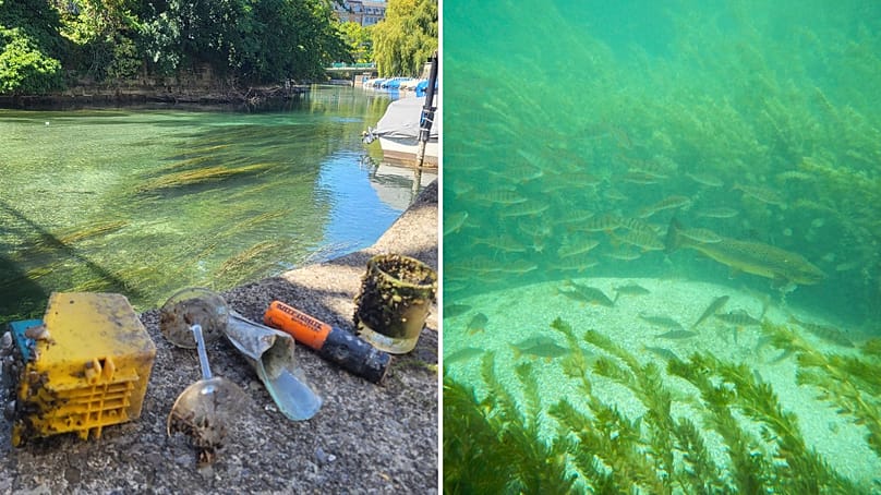 Fish join Mischa on his daily commute as he fishes litter out of the Schanzengraben.