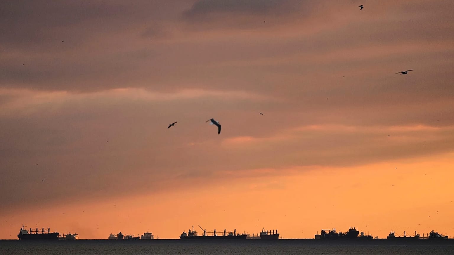 İstanbul Boğazı yakınlarındaki Marmara Denizi'nde demirlemiş kargo gemileri, 8 Nisan 2025.