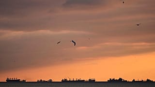 İstanbul Boğazı yakınlarındaki Marmara Denizi'nde demirlemiş kargo gemileri, 8 Nisan 2025.
