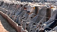  Cattle eat at a feedlot operated by the Otavio Lage group in Goianesia, Goias state, Brazil, June 13, 2025.