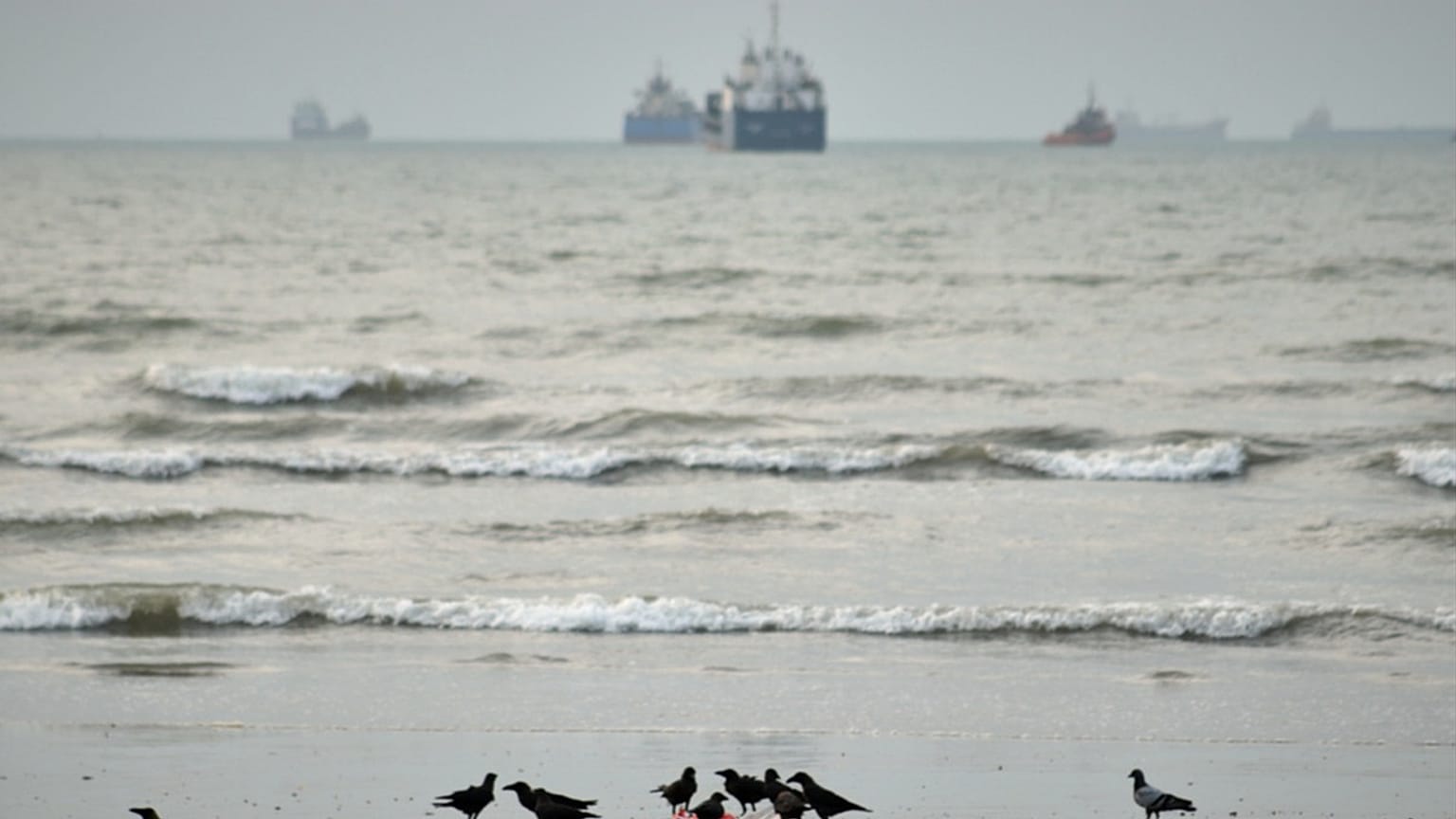 Birds gather around litter on a beach as commercial vessels lie anchored in the Strait of Hormuz off Bandar Abbas, Iran, Wednesday, Sept. 2, 2026