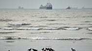 Birds gather around litter on a beach as commercial vessels lie anchored in the Strait of Hormuz off Bandar Abbas, Iran, Wednesday, Sept. 2, 2026