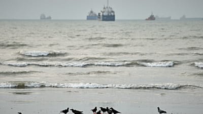 Birds gather around litter on a beach as commercial vessels lie anchored in the Strait of Hormuz off Bandar Abbas, Iran, Wednesday, Sept. 2, 2026