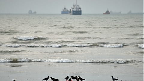 Birds gather around litter on a beach as commercial vessels lie anchored in the Strait of Hormuz off Bandar Abbas, Iran, Wednesday, Sept. 2, 2026
