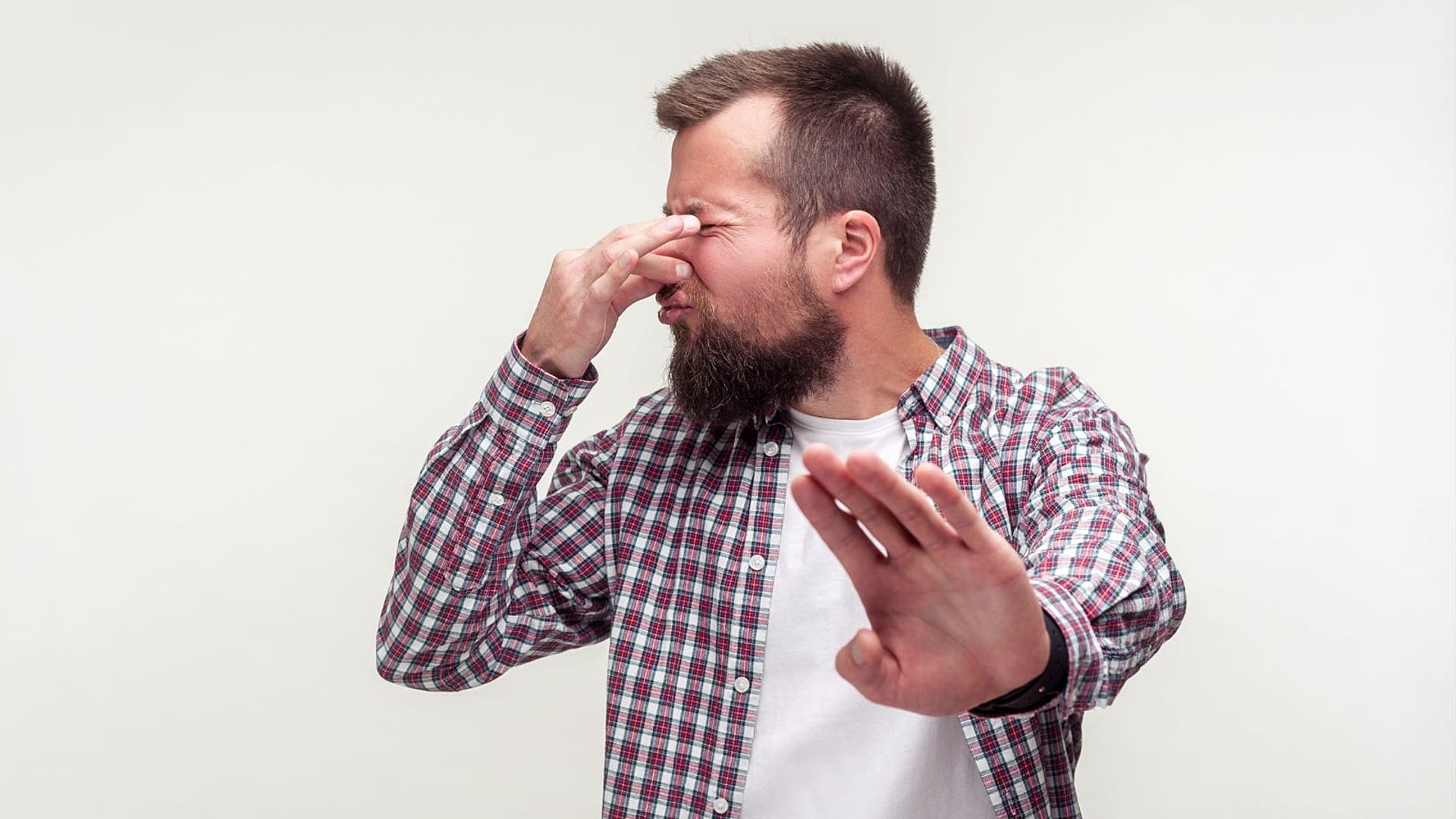 Sweet-stealing capitalists and the definition of kissing: The 2026 Ig ...