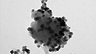 Image au microscope montrant un nanoPET avec des nanoparticules magnétiques