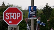 AfD-Spitzenkandidat Ulrich Siegmund auf einem Wahlplakat in Sachsen-Anhalt