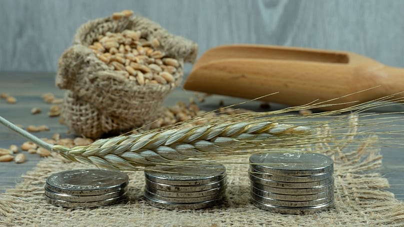 سنابل القمح والحبوب إلى جانب عملات معدنية