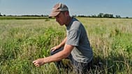 David Mueller kneels down in one of his Kernza fields Tuesday, July 28, 2026, at his farm in Halstead, Kan.