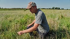 David Mueller s'agenouille dans un champ de Kernza de sa ferme à Halstead, Kansas, le mardi 28 juillet 2026.