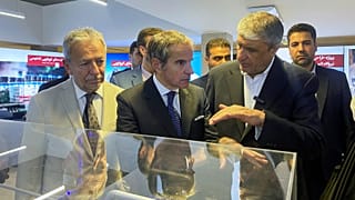رئیس سازمان انرژی اتمی ایران در کنار مدیر کل آژانس در آوریل ۲۰۲۵