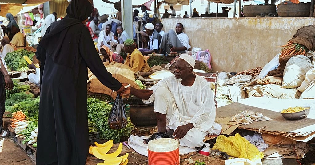 Sudan: Currency Collapse and Price Surge Strangle Households
