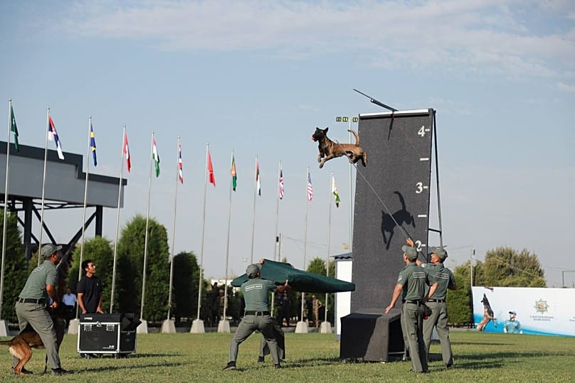 A trained service dog takes part in a demonstration during the World Customs Organization’s Global Canine Forum