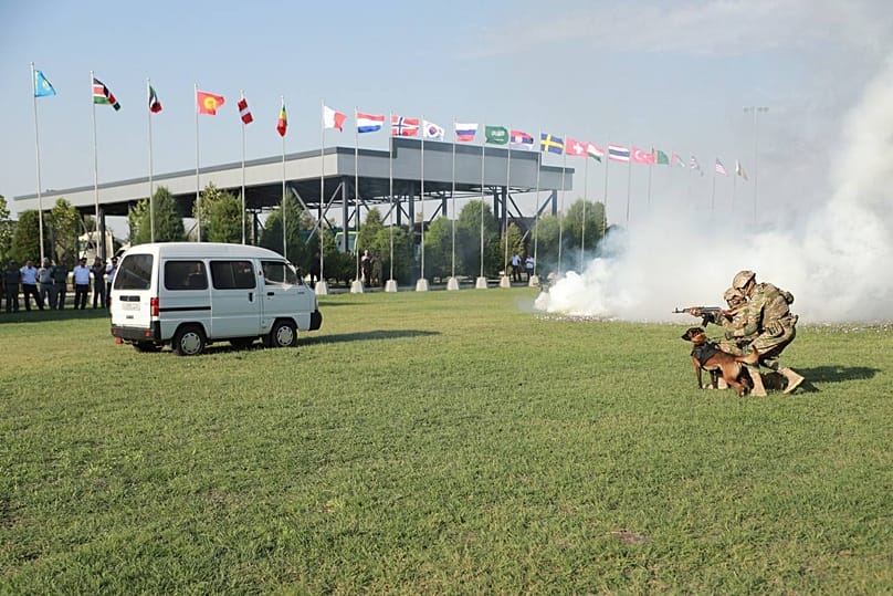Trained service dogs and their handlers take part in a demonstration