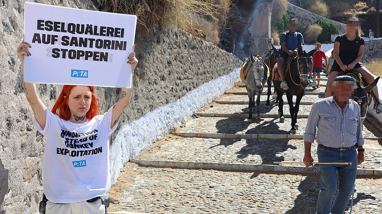 Aktivisten protestieren in Santorini gegen sogenannte "Eseltaxis" für Touristen