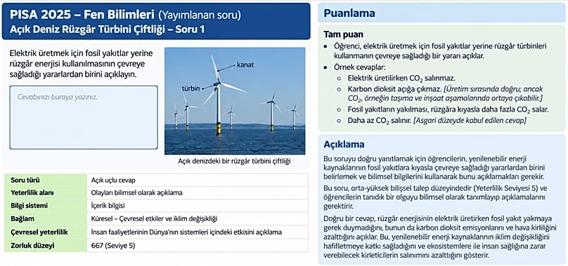 PISA 2025'ten bir soru örneği.