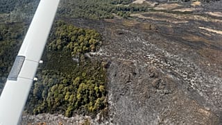 Kenya : un incendie ravage 8 700 hectares sur le mont Kenya