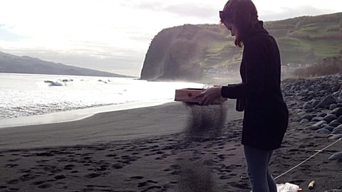 Sample collection, Almoxarife Beach, Faial Island, November 2020