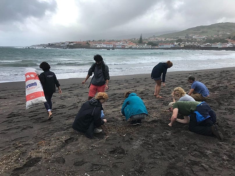 Étudiants et chercheurs sur la plage de Porto Pim, sur l'île de Faial, septembre 2022